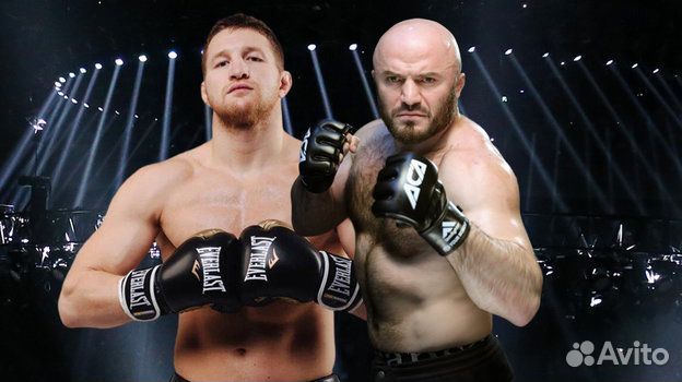 Pulse UP boxing. «mineev - ismailov»