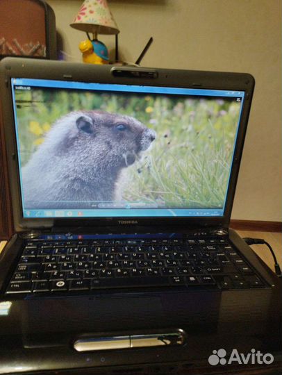 Ноутбук Toshiba satellite a300