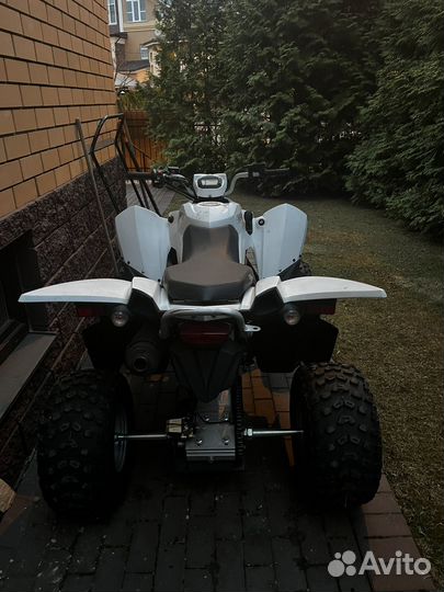 Квадроцикл access SP 300 sport