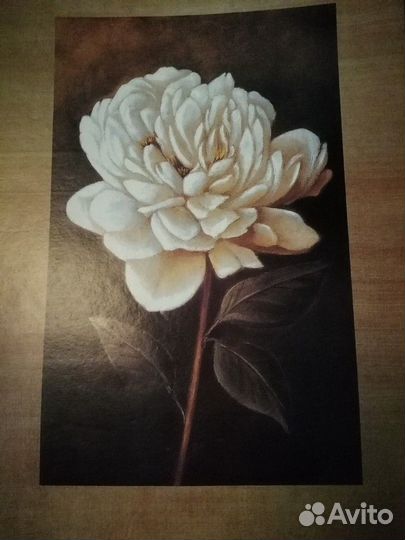 Картина Размер 26,8 * 36,5