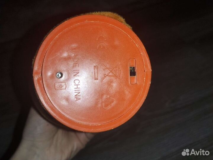 Танцующий кактус