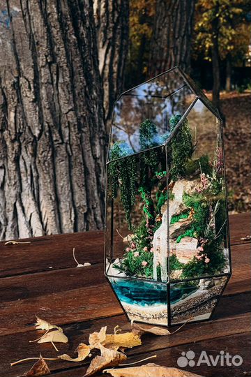 Моссариум из стабилизированных растений и мхов