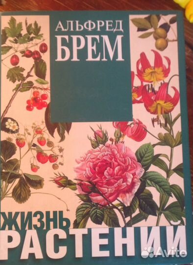 Жизнь растений Альфред Брем
