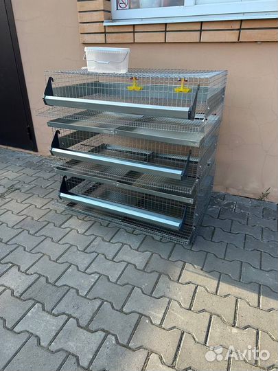 Клетки для перепелов на 150 голов