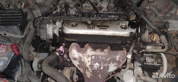 Кузовные запчасти Хонда accord