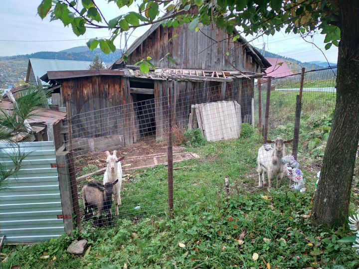 Дом 120 м² на участке 15 сот.