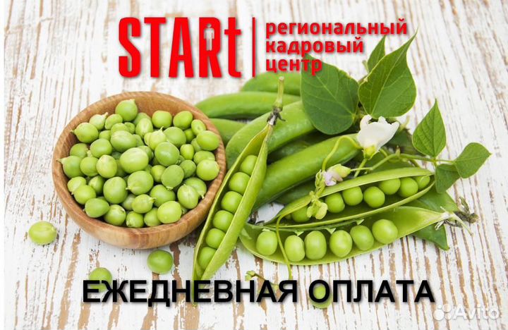 Разнорабочий (упаковщик, грузчик), з/п ежедневная
