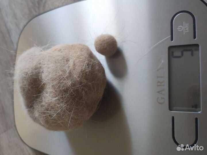 Шерсть породистой кошечки для рукоделия