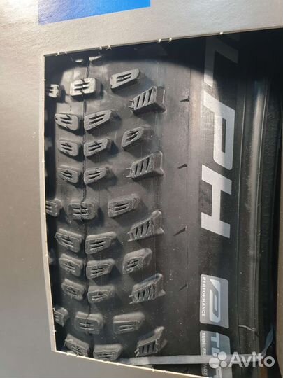 Покрышки Schwalbe Racing Ralph + Ray 29x2,25