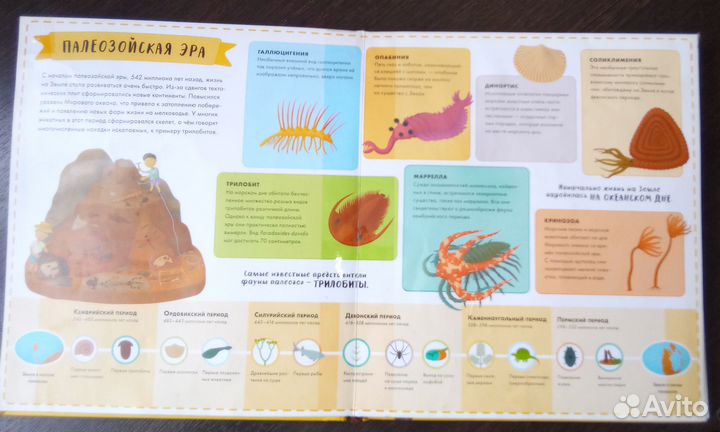 Книга-раскладушка **Атлас Доисторического мира**