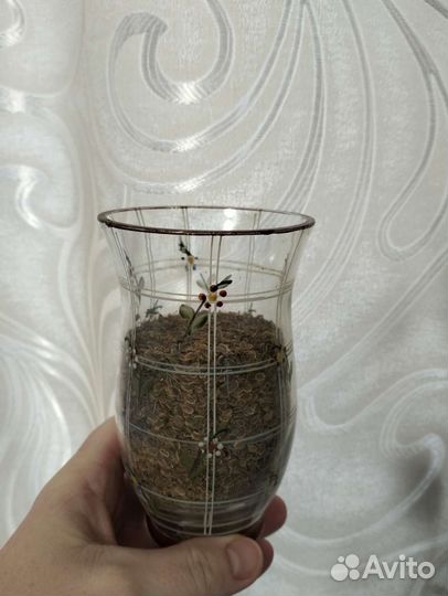 Семена укропа сухие