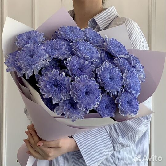 Цветы доставка хризантема кустовая