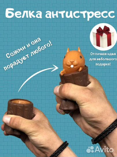 Белка в дупле