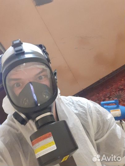 Уничтожение тараканов и клопов с гарантией