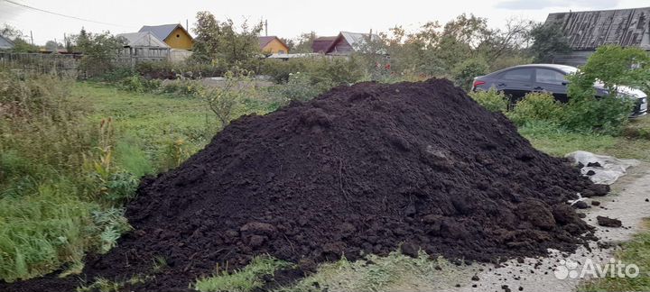 Навоз коровий