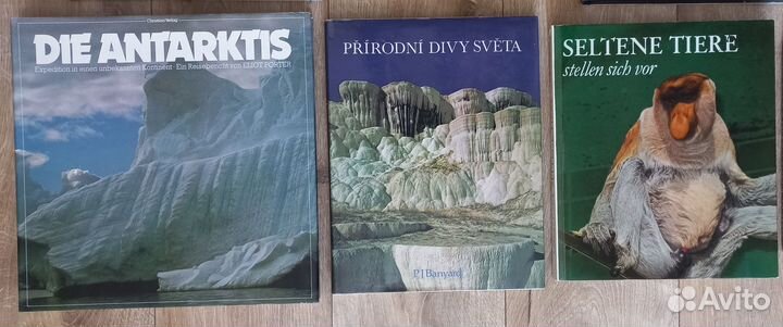 Фотоальбомы с видами природы, животными, городами