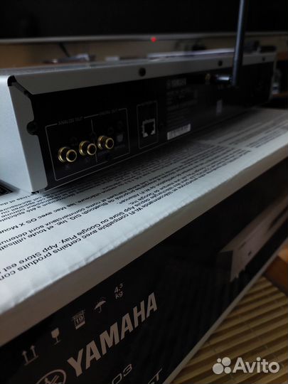 Сетевой проигрыватель Yamaha NP S303