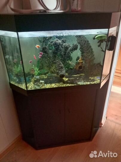 Аквариум