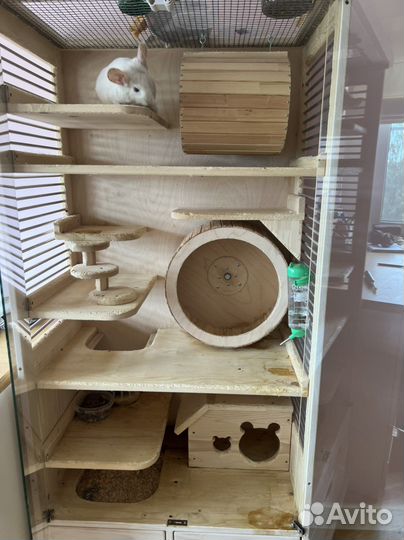 Витрина для шиншилл шиншилла клетка
