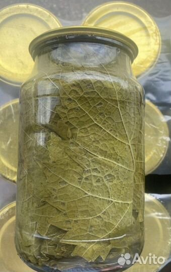 Виноградные листья