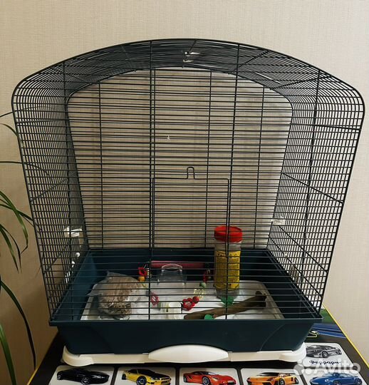 Клетка для попугая