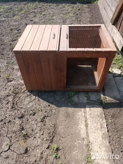 Брудер для выведения цыплят