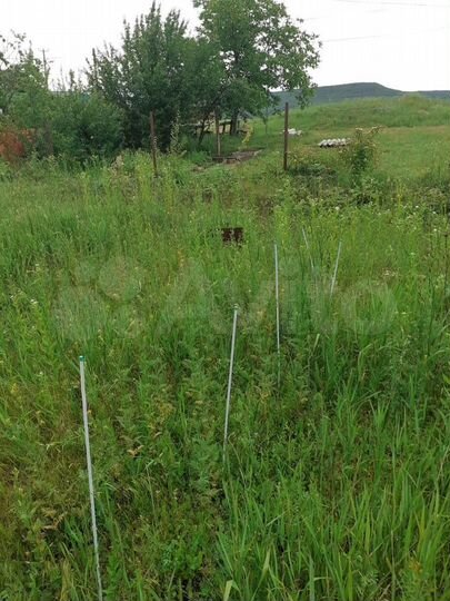 Участок 6 сот. (СНТ, ДНП)