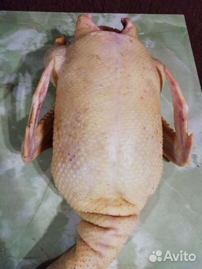 Мясо (куры, утки, гуси, индюки)