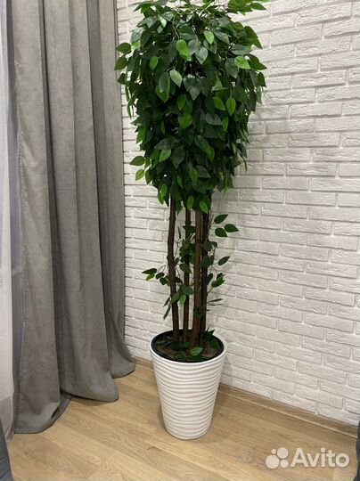 Деревья искусственные в кашпо