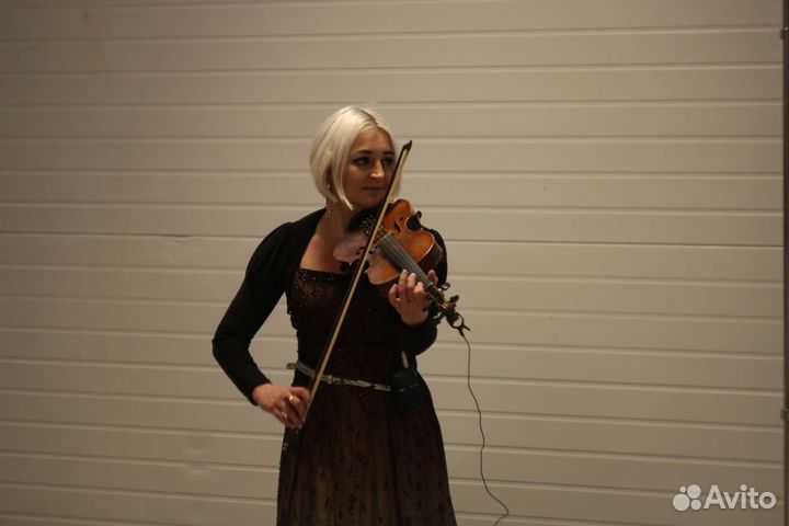 Скрипка на любой праздник