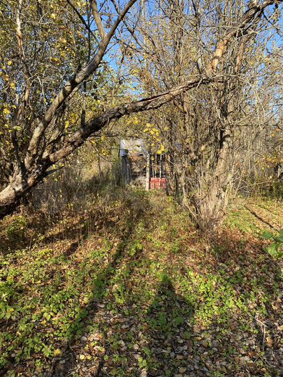 Участок 7 сот. (СНТ, ДНП)