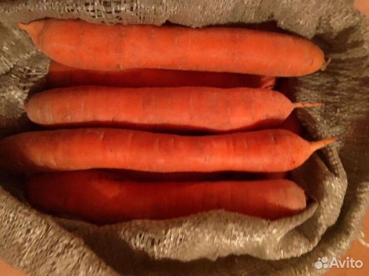 Продам картофель, морковь и свеклу с доставкой