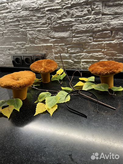 Гриб, лисичка, костюм грибочка