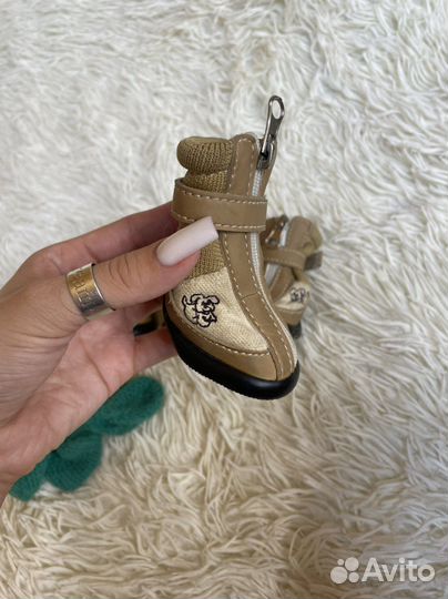 Ботинки для маленьких собак