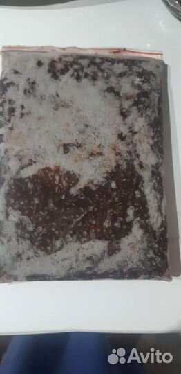 Продам артемию и мотыль свежий привоз