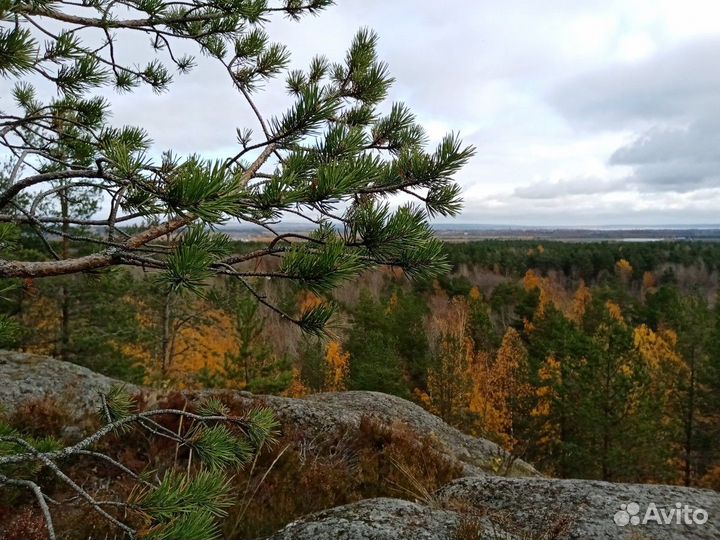 Экскурсия — Петрозаводск — Таёжное Чаепитие: Горны