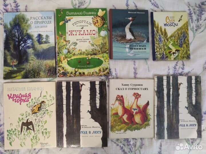 Сетон-Томпсон Рваное ушко