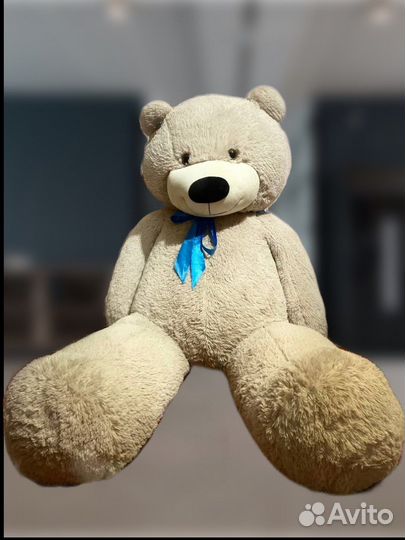 Большие плюшевые медведи