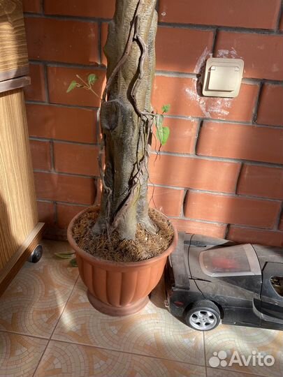 Искусстенное дерево