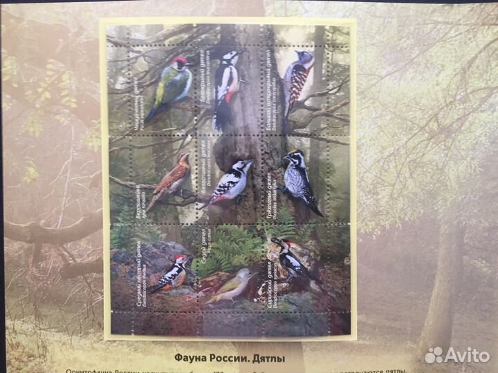 Сувенирный набор Фауна Птицы Дятлы (виньетка)