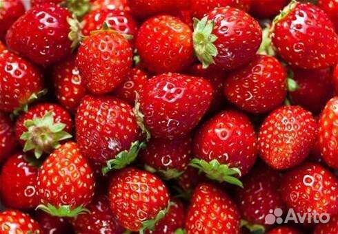 Клубника кусты