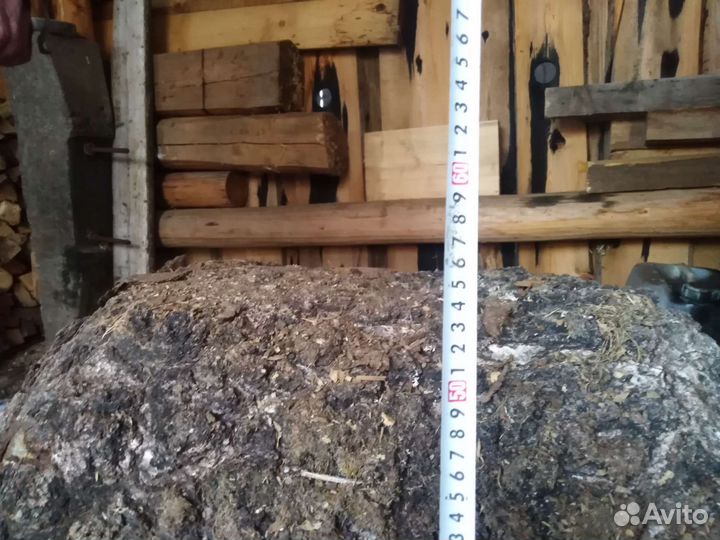 Кап берёзовый