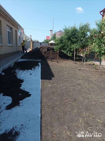 Рулонный газон стандарт с укладкой