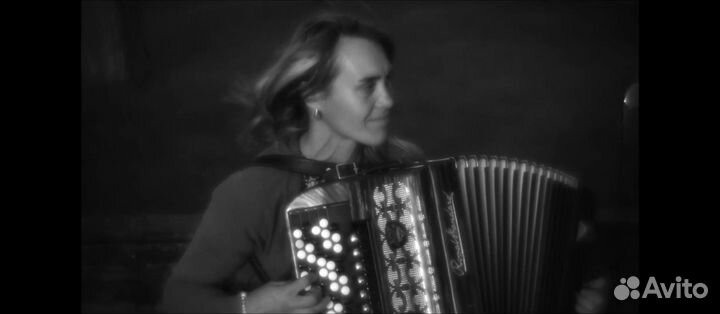 Музыкант баянист