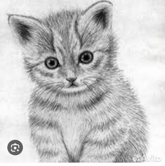 Рисую разные предметы,животные,людей,природу