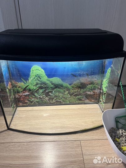 Аквариум 25+л
