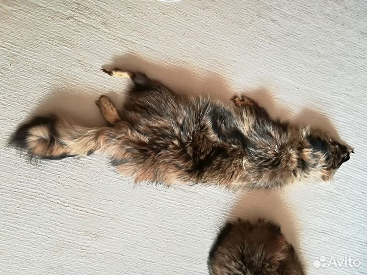 Шкура лисЫ, чернобурка,выделанная