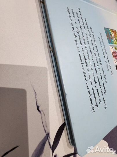 Страна фей Открой окошко Дэвидсон Лиги