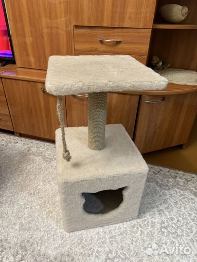 Когтеточка