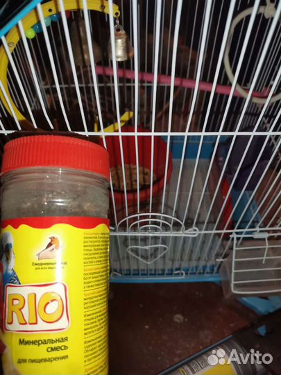 Клетка для попугая бу и аквариум